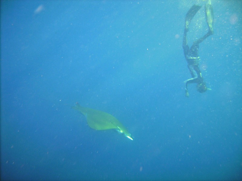 ../Images/watermanta 2.jpg